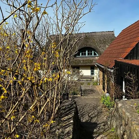 Fischerhaus ,,Sommersprosse