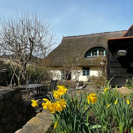 Fischerhaus ,,Sommersprosse