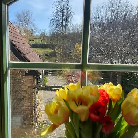 Fischerhaus ,,Sommersprosse